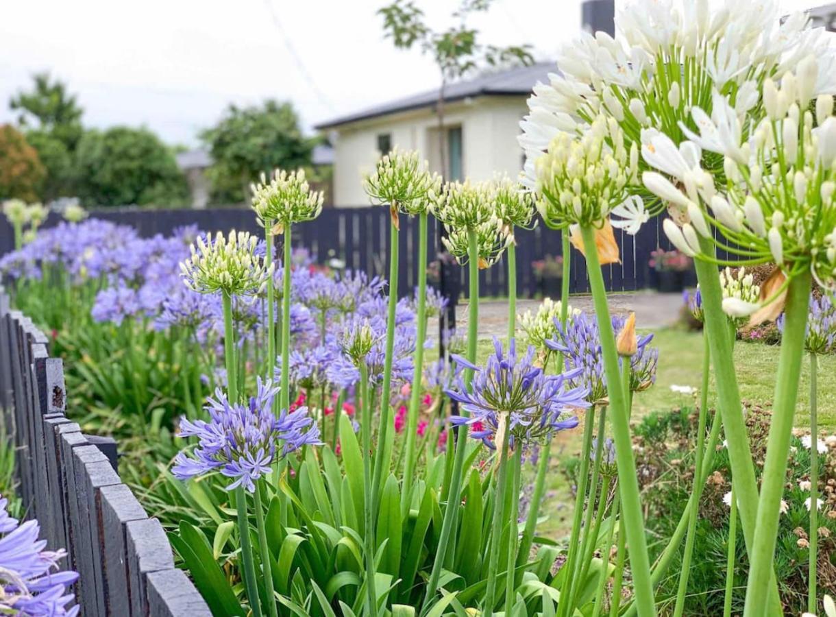 Central Garden Guest House Motueka Esterno foto
